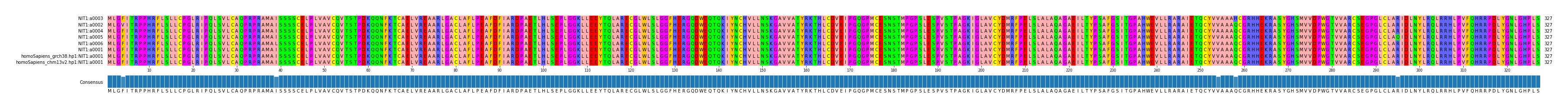 Multiple Alignments (by translate haplotype similarity)