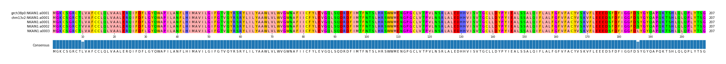 Multiple Alignments (by translate haplotype frequency)
