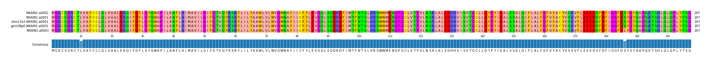 Multiple Alignments (by translate haplotype similarity)