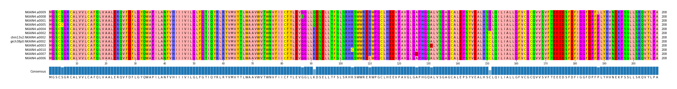 Multiple Alignments (by translate haplotype similarity)