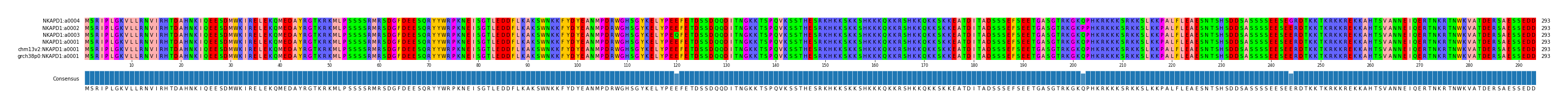 Multiple Alignments (by translate haplotype similarity)