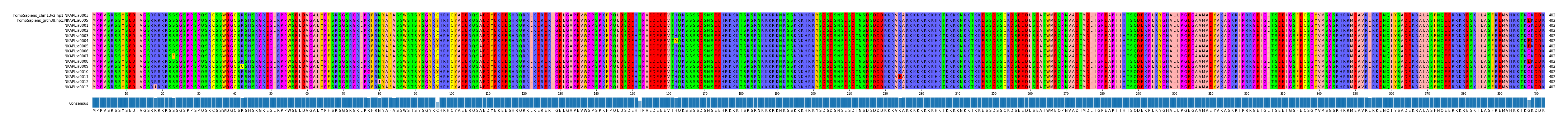 Multiple Alignments (by translate haplotype frequency)
