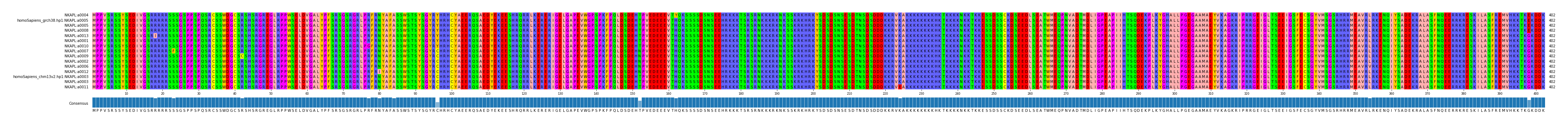 Multiple Alignments (by translate haplotype similarity)