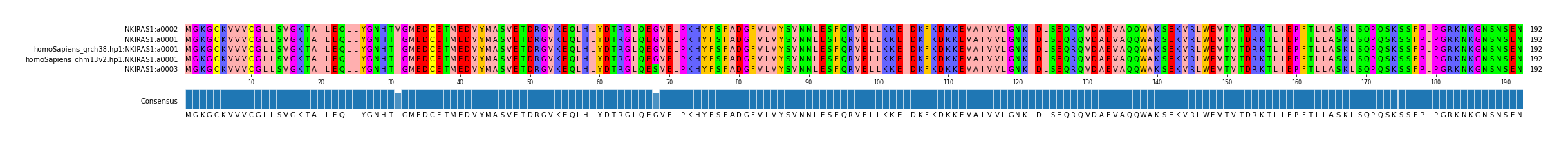 Multiple Alignments (by translate haplotype similarity)