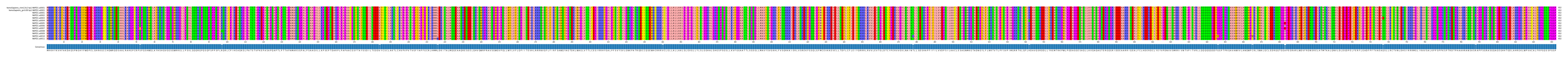 Multiple Alignments (by translate haplotype frequency)