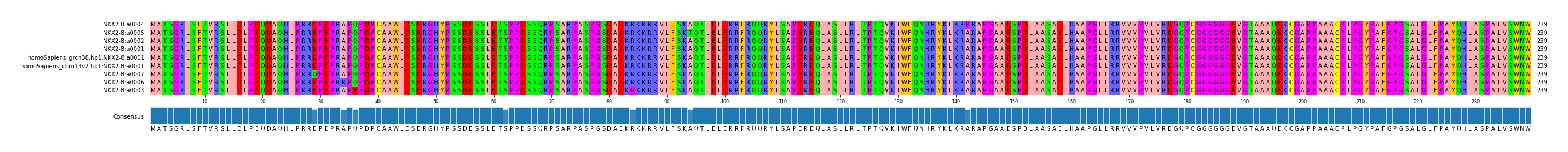Multiple Alignments (by translate haplotype similarity)