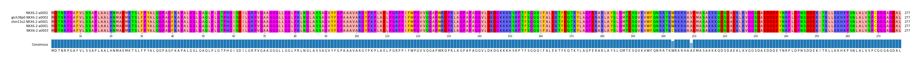 Multiple Alignments (by translate haplotype similarity)