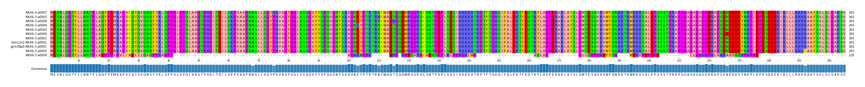 Multiple Alignments (by translate haplotype similarity)