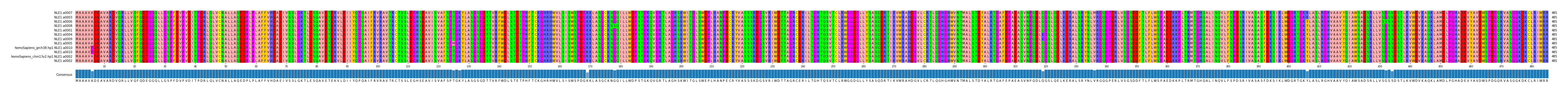 Multiple Alignments (by translate haplotype similarity)