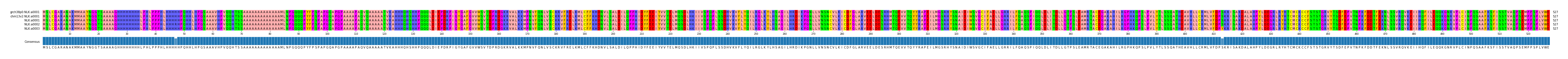 Multiple Alignments (by translate haplotype frequency)