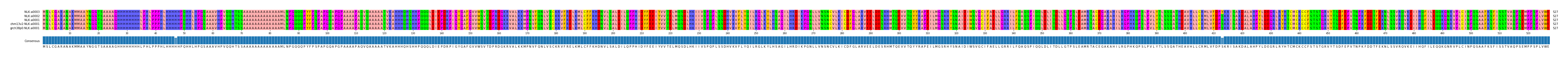 Multiple Alignments (by translate haplotype similarity)