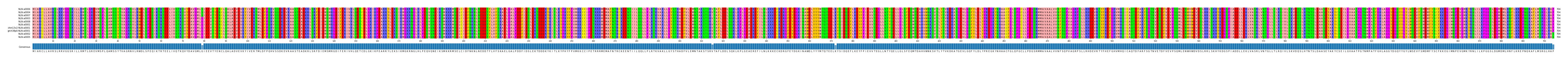 Multiple Alignments (by translate haplotype similarity)