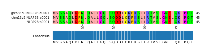 Multiple Alignments (by translate haplotype similarity)