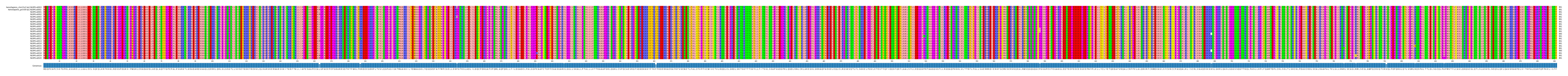Multiple Alignments (by translate haplotype frequency)