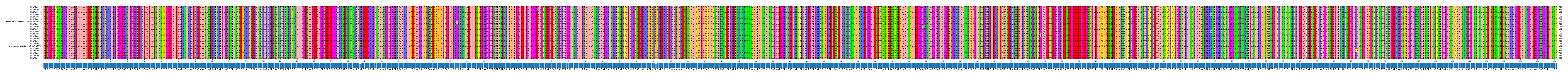 Multiple Alignments (by translate haplotype similarity)