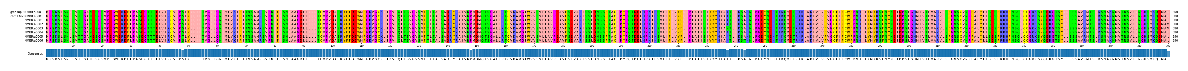 Multiple Alignments (by translate haplotype frequency)