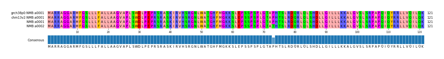 Multiple Alignments (by translate haplotype similarity)