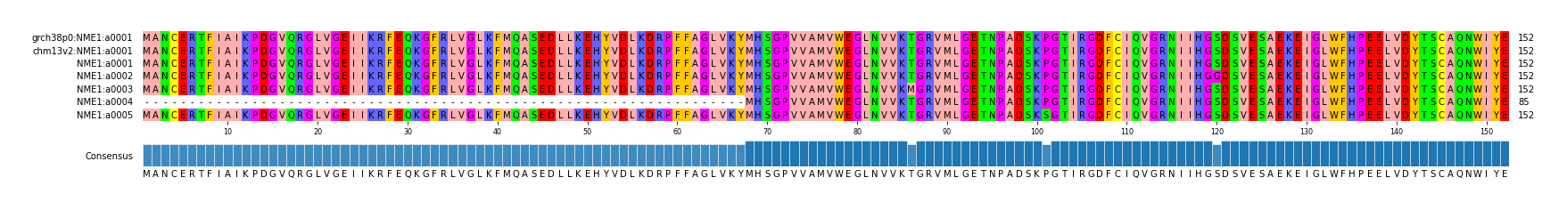 Multiple Alignments (by translate haplotype frequency)