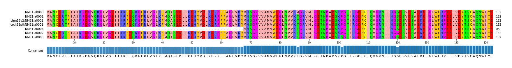 Multiple Alignments (by translate haplotype similarity)