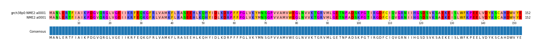 Multiple Alignments (by translate haplotype similarity)