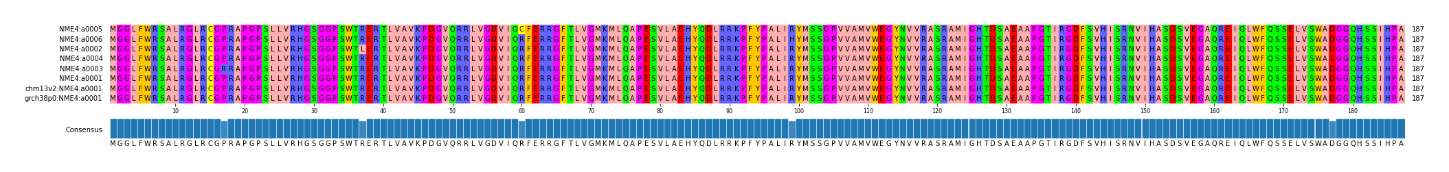 Multiple Alignments (by translate haplotype similarity)