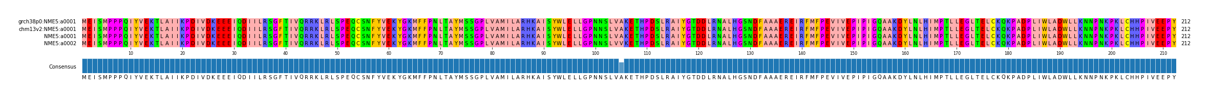 Multiple Alignments (by translate haplotype similarity)