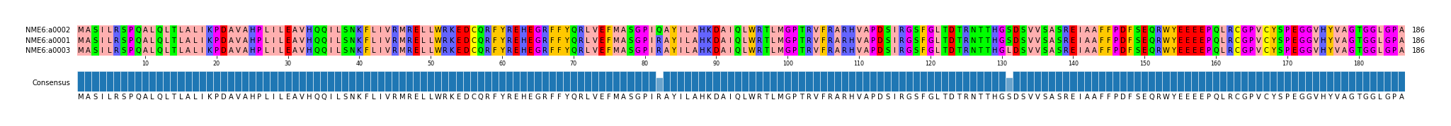 Multiple Alignments (by translate haplotype similarity)