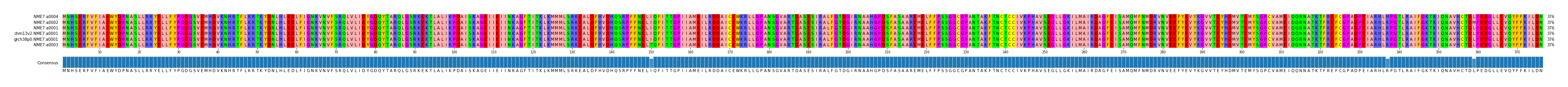 Multiple Alignments (by translate haplotype similarity)