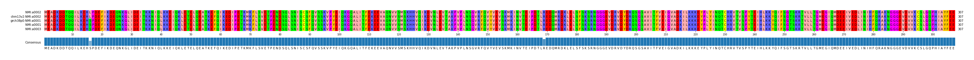 Multiple Alignments (by translate haplotype similarity)