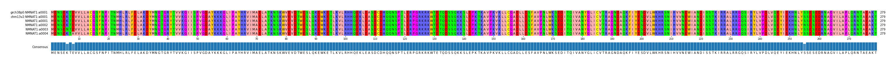 Multiple Alignments (by translate haplotype frequency)
