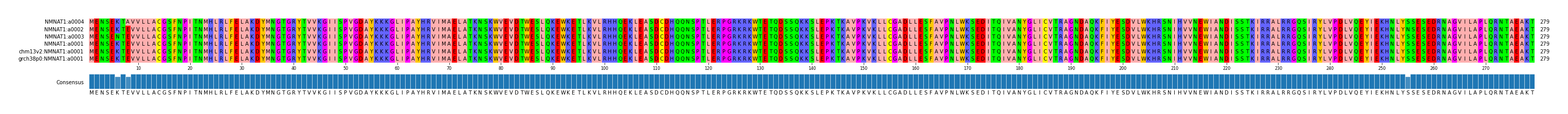 Multiple Alignments (by translate haplotype similarity)