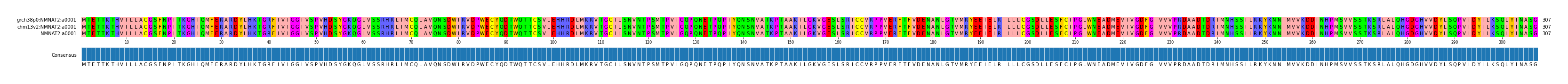 Multiple Alignments (by translate haplotype similarity)