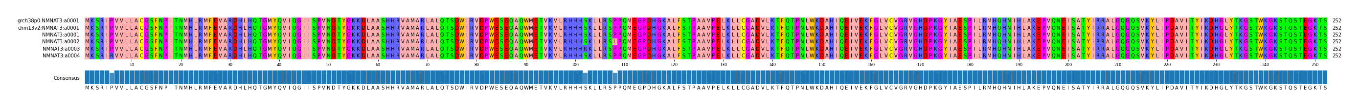 Multiple Alignments (by translate haplotype frequency)