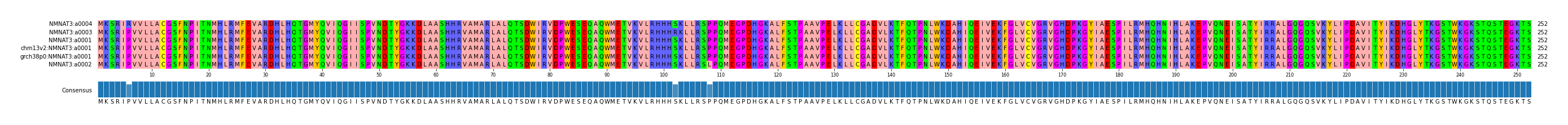 Multiple Alignments (by translate haplotype similarity)