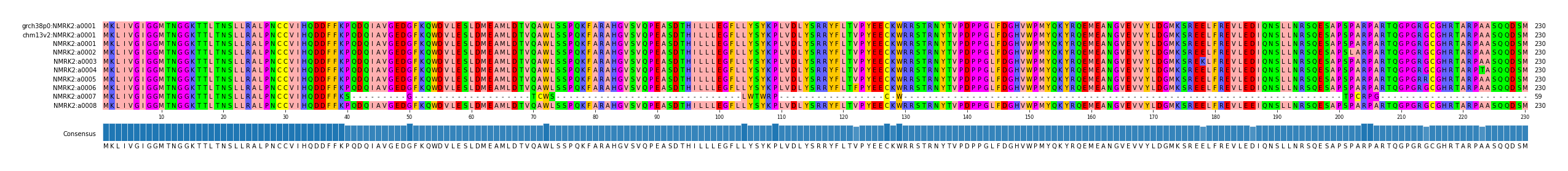 Multiple Alignments (by translate haplotype frequency)