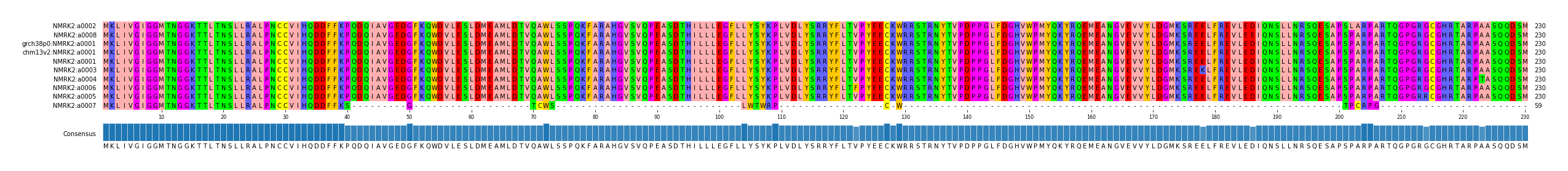 Multiple Alignments (by translate haplotype similarity)