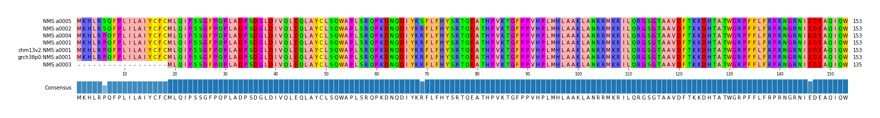 Multiple Alignments (by translate haplotype similarity)