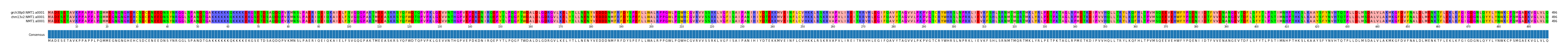 Multiple Alignments (by translate haplotype similarity)