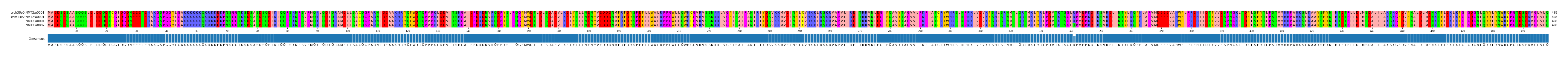 Multiple Alignments (by translate haplotype similarity)