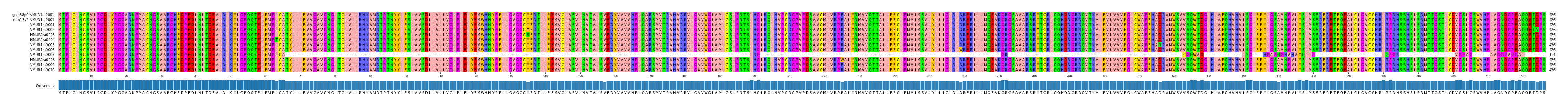 Multiple Alignments (by translate haplotype frequency)