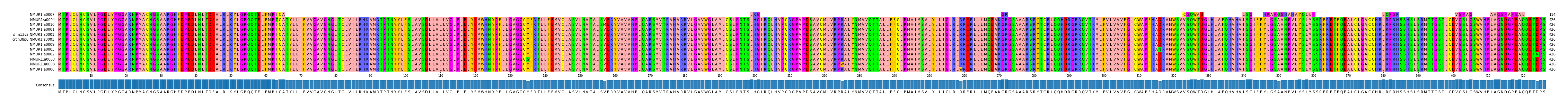 Multiple Alignments (by translate haplotype similarity)