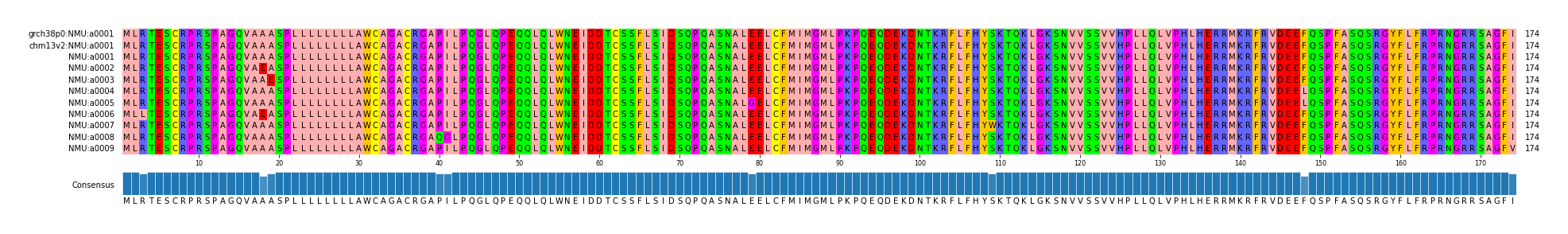 Multiple Alignments (by translate haplotype frequency)