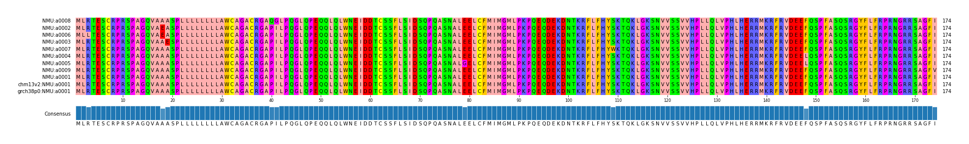 Multiple Alignments (by translate haplotype similarity)