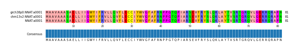 Multiple Alignments (by translate haplotype similarity)