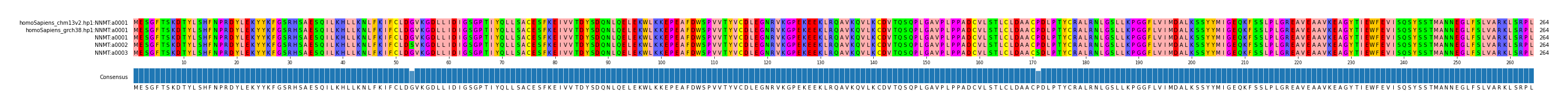 Multiple Alignments (by translate haplotype frequency)