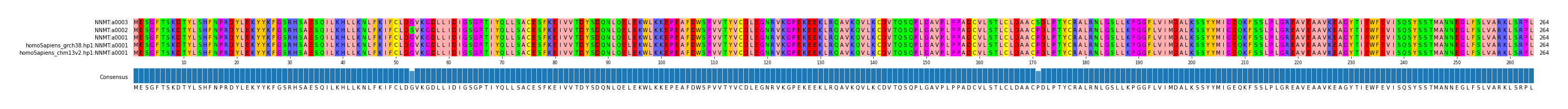 Multiple Alignments (by translate haplotype similarity)