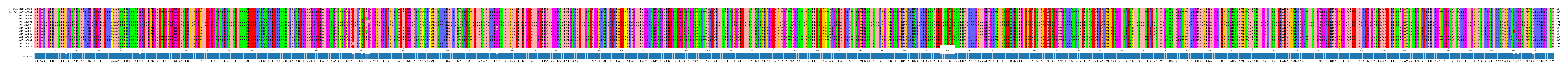 Multiple Alignments (by translate haplotype frequency)