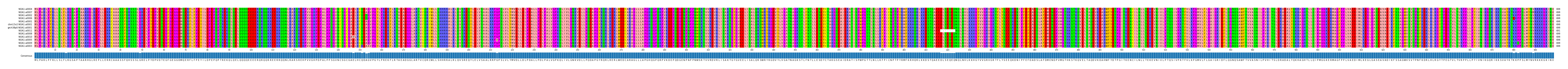 Multiple Alignments (by translate haplotype similarity)