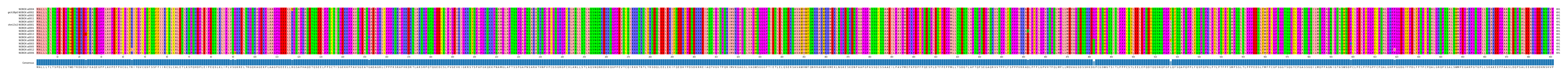 Multiple Alignments (by translate haplotype similarity)