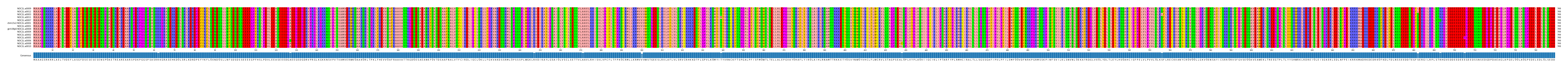 Multiple Alignments (by translate haplotype similarity)